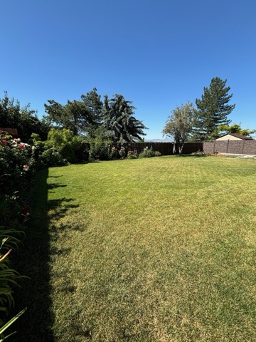 Backyard (side lawn)