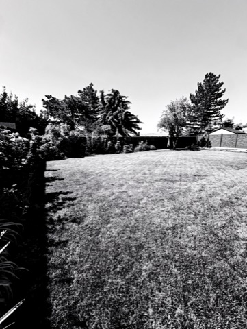 Backyard (side lawn) — High-Contrast Monochrome
