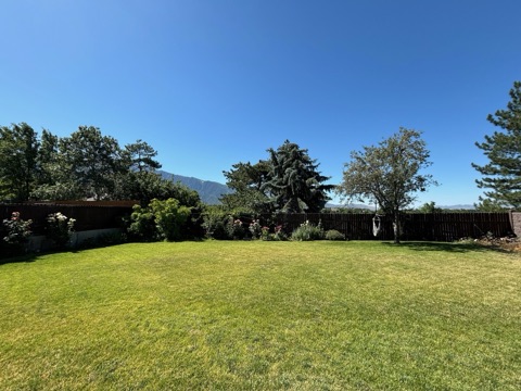 Backyard (wide)