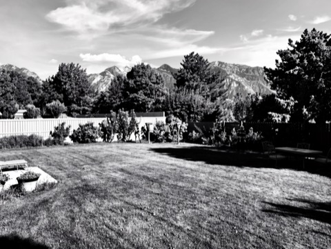 Backyard (mountains) — High-Contrast Monochrome