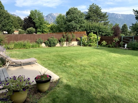Backyard patio
