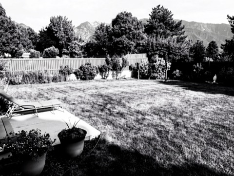 Backyard patio — High-Contrast Monochrome