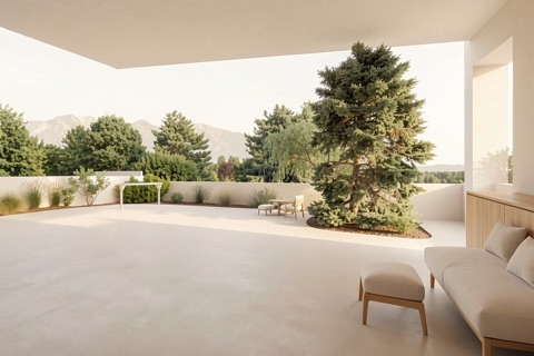 Backyard — Warm Minimalist
