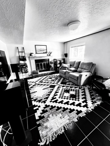 Basement family (staged) — High-Contrast Monochrome