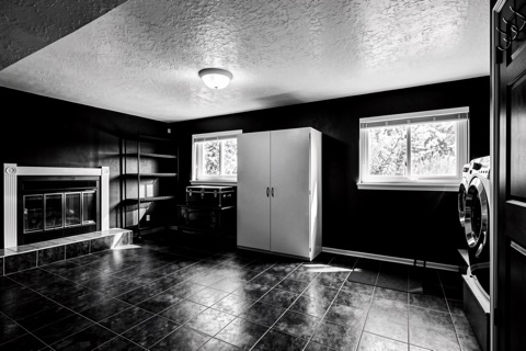 Basement family room — High-Contrast Monochrome