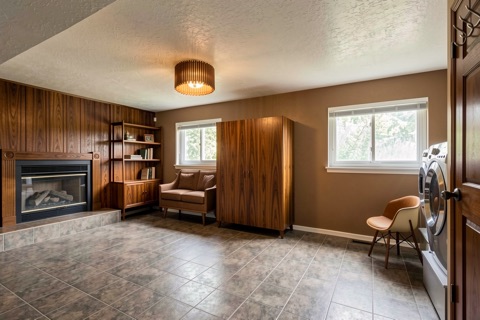 Basement family room — Mid-Century Modern