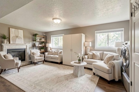 Basement family room — Transitional