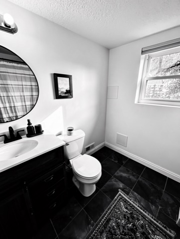 Bathroom (basement) — High-Contrast Monochrome