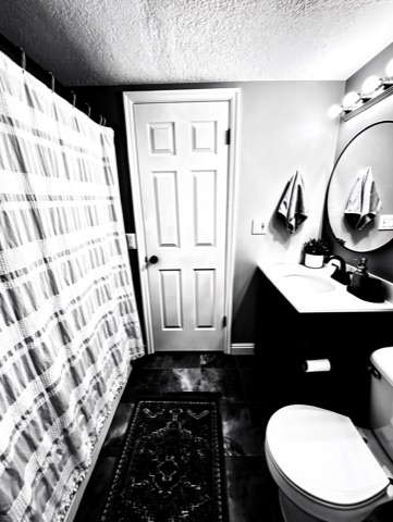 Bathroom (round mirror) — High-Contrast Monochrome