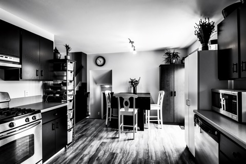 Dining area — High-Contrast Monochrome