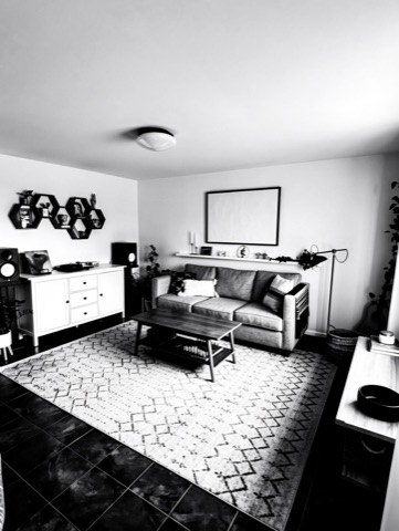 Family room (staged) — High-Contrast Monochrome