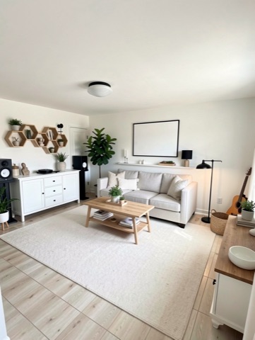 Family room (staged) — Modern Farmhouse
