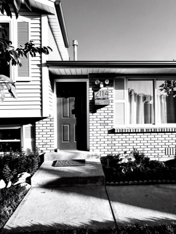 Front entry — High-Contrast Monochrome