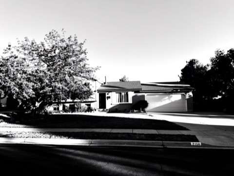 Front / street view — High-Contrast Monochrome