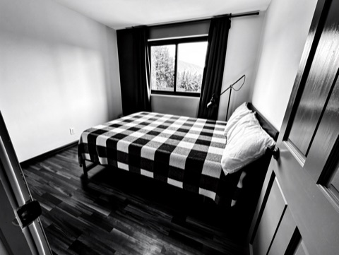 Green bedroom (view) — High-Contrast Monochrome