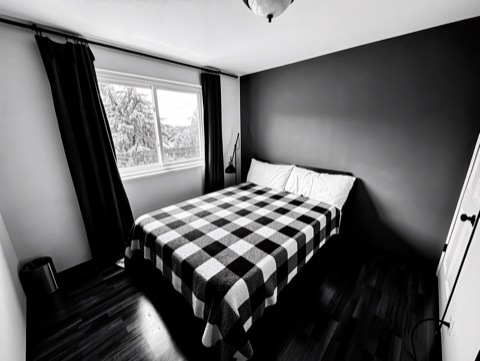 Green bedroom — High-Contrast Monochrome