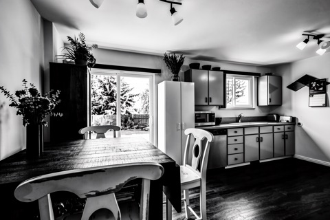 Kitchen & dining — High-Contrast Monochrome