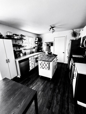 Kitchen (staged) — High-Contrast Monochrome