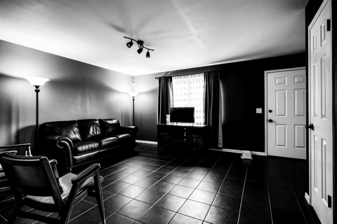 Living room — High-Contrast Monochrome