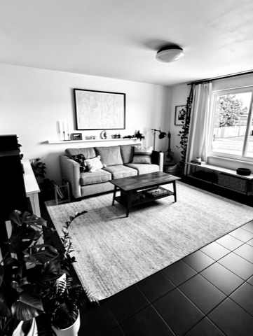 Living room (staged) — High-Contrast Monochrome