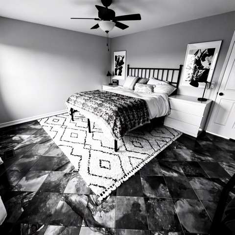 Primary bedroom (staged) — High-Contrast Monochrome