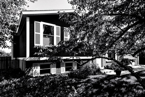 Side of house — High-Contrast Monochrome